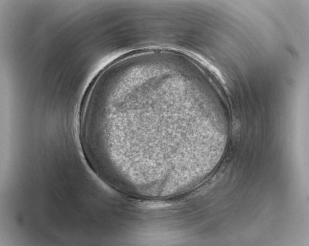 X0000116671239201001041123