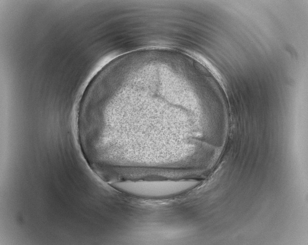 X0000116671243201001041123