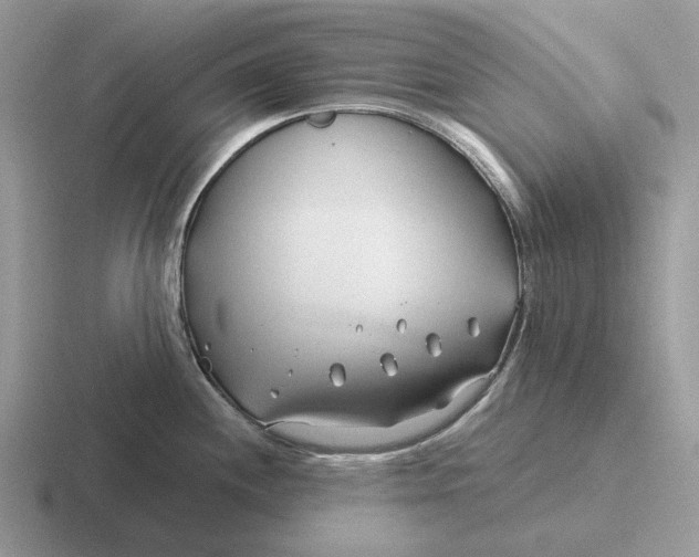 X0000116671244201001041123