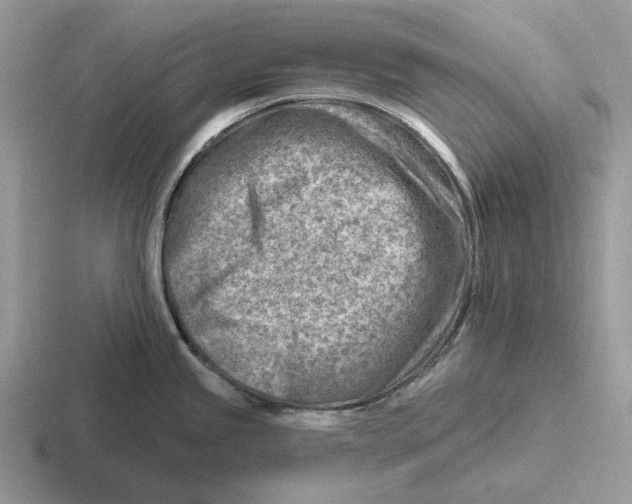 X0000116671245201001041123