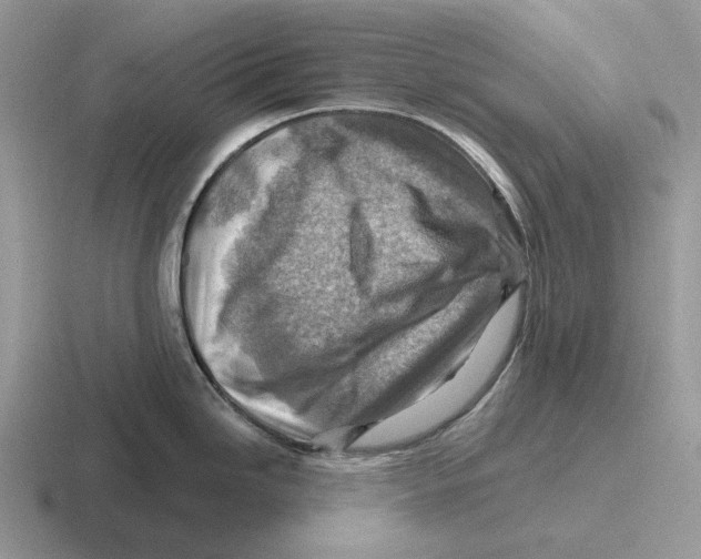 X0000116671246201001041123