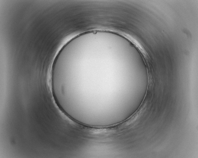 X0000116671247201001041123