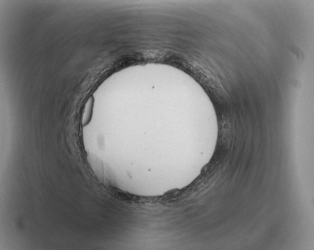 X0000116671249201001041122