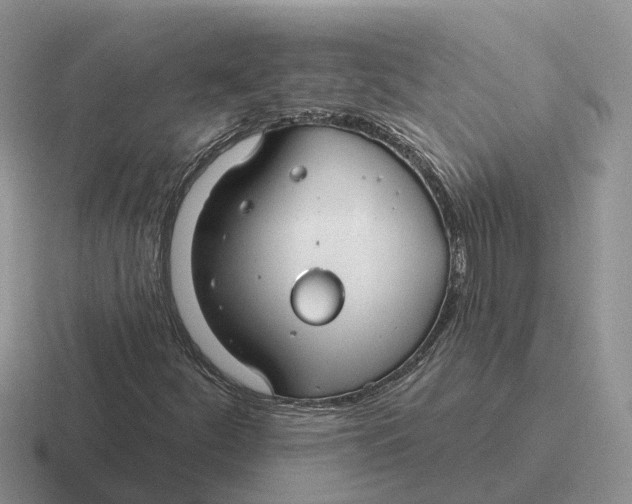 X0000116671252201001041122