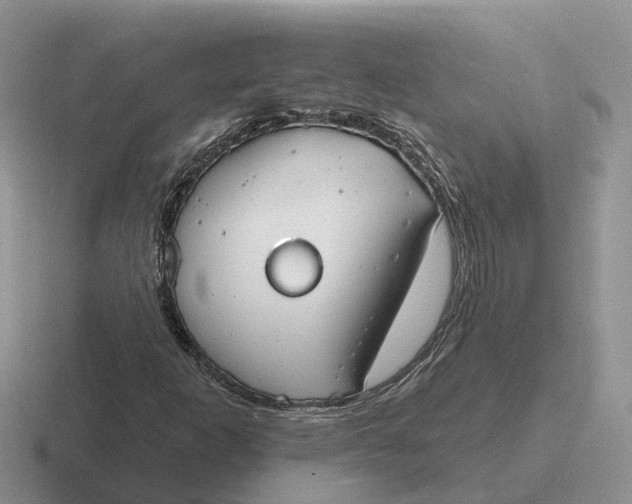 X0000116671253201001041122