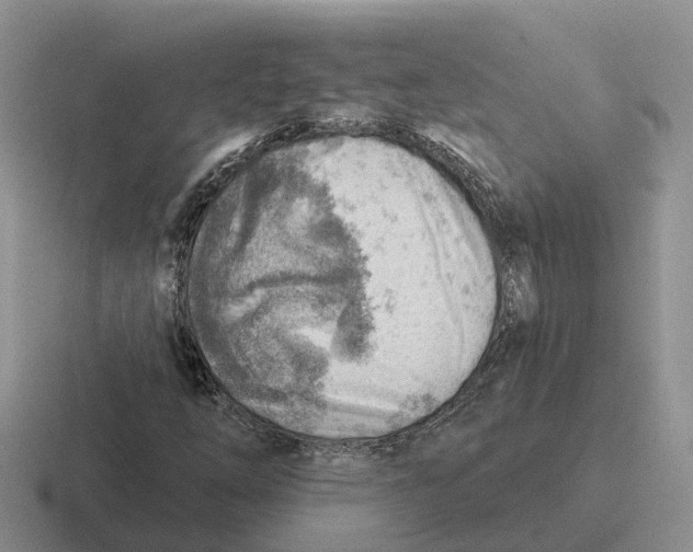 X0000116671254201001041122