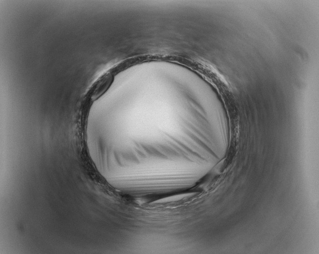 X0000116671256201001041122