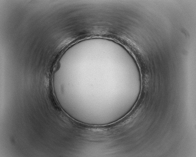 X0000116671257201001041122