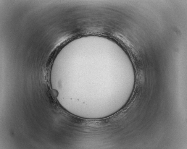 X0000116671258201001041122