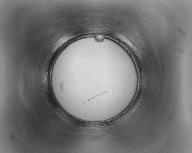 X0000116671259201001041122