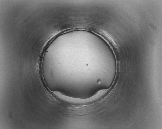 X0000116671260201001041122