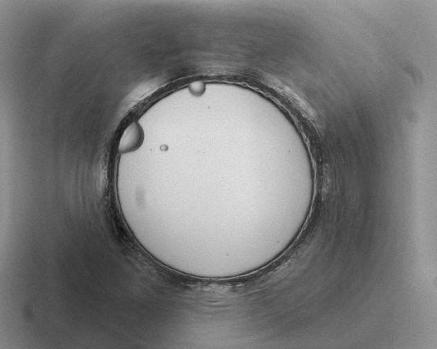 X0000116671261201001041122