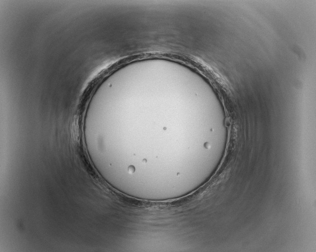 X0000116671262201001041122