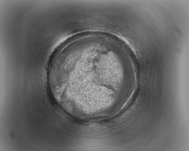 X0000116671263201001041122