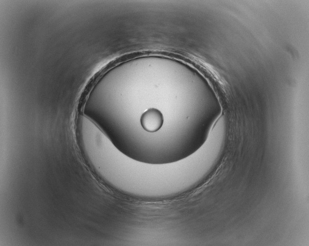 X0000116671264201001041122