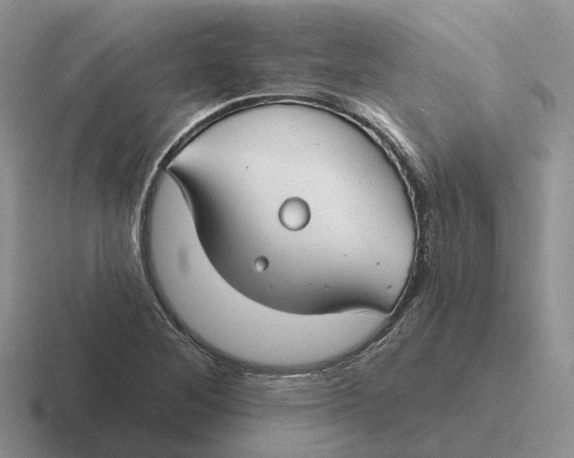 X0000116671268201001041122