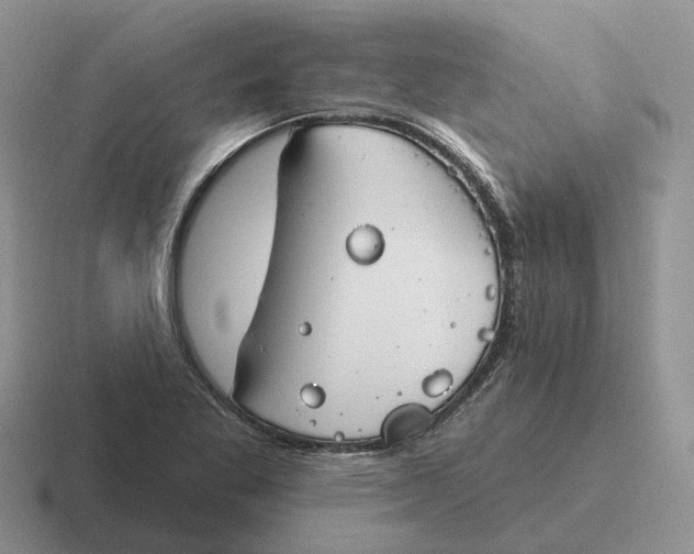 X0000116671269201001041122