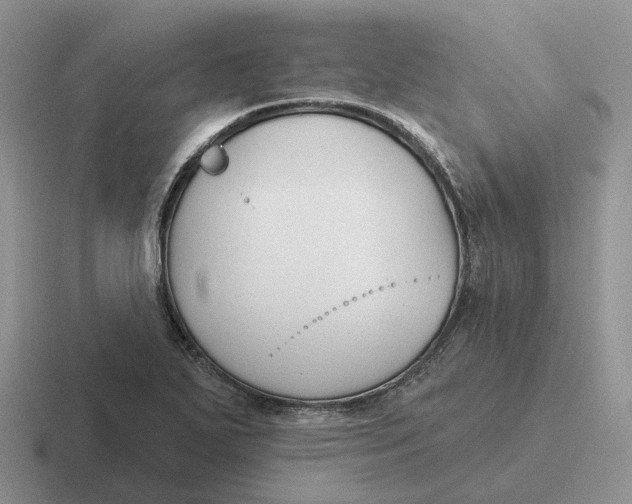 X0000116671271201001041122