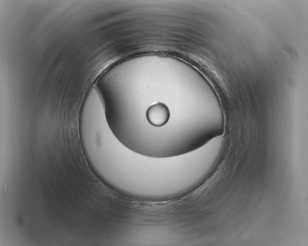 X0000116671273201001041122