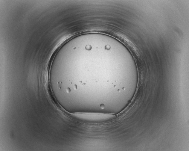 X0000116671274201001041122