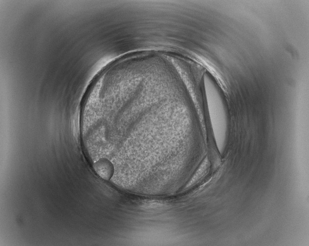 X0000116671275201001041122