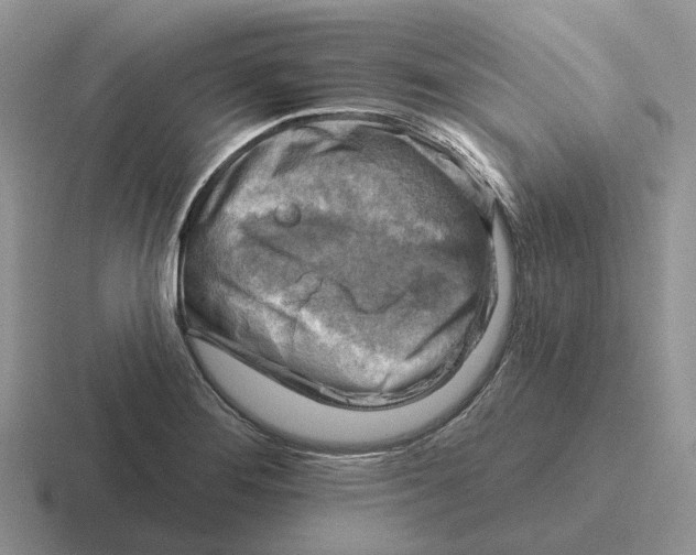 X0000116671276201001041122