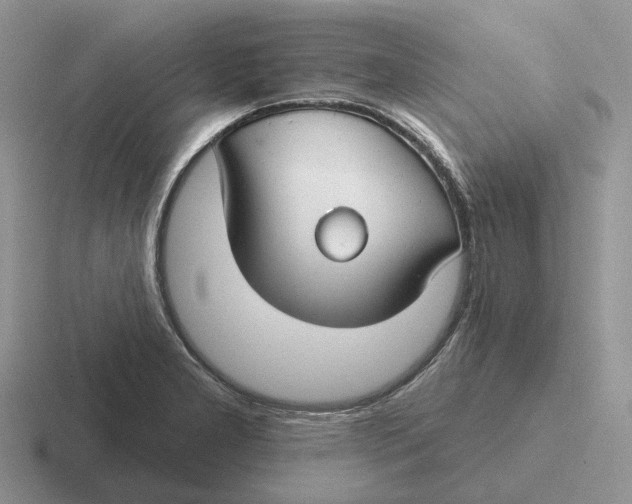 X0000116671277201001041122