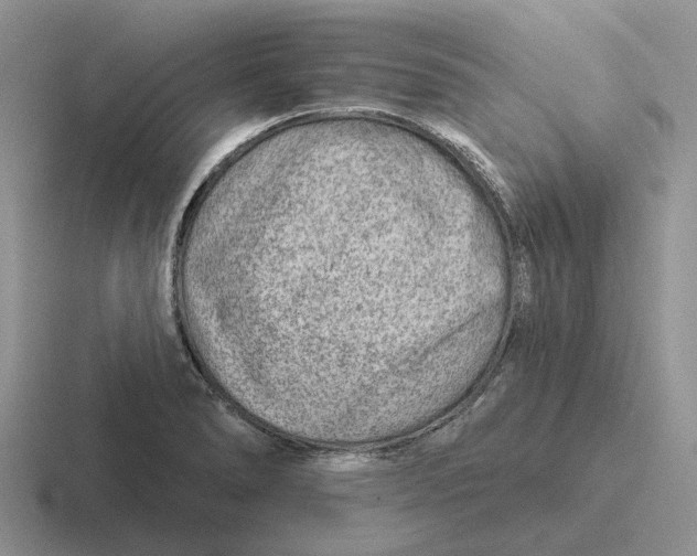 X0000116671278201001041122