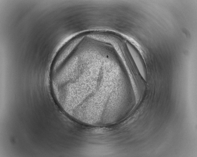 X0000116671279201001041122