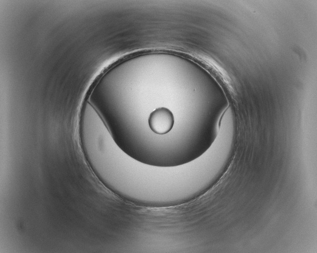 X0000116671280201001041122