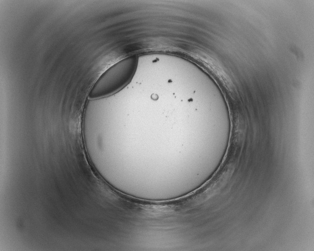 X0000116671281201001041122