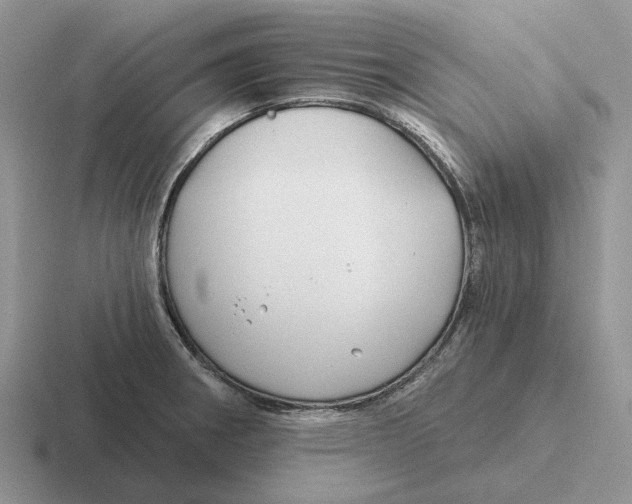 X0000116671282201001041122