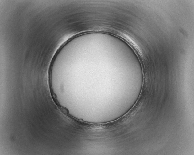 X0000116671283201001041122