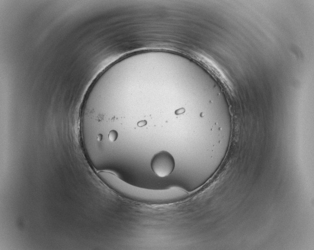 X0000116671284201001041122