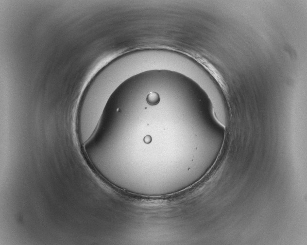 X0000116671285201001041122