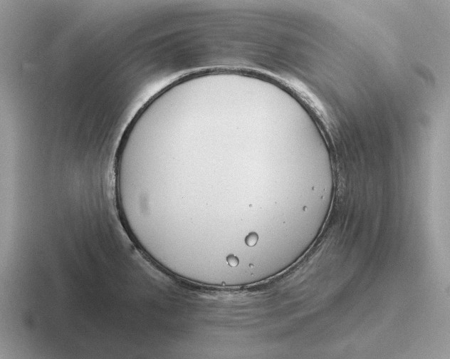 X0000116671287201001041122