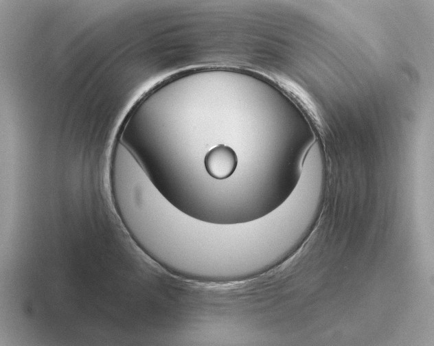 X0000116671288201001041122