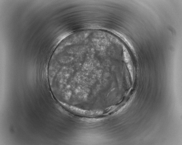 X0000116671289201001041122