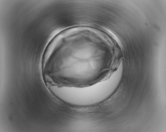 X0000116671291201001041122