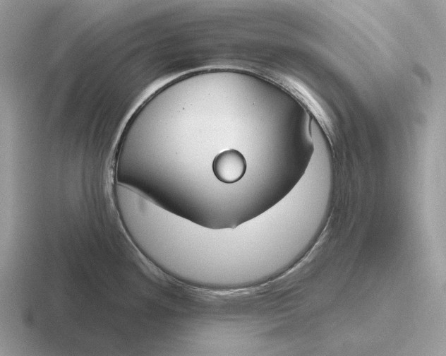 X0000116671292201001041122