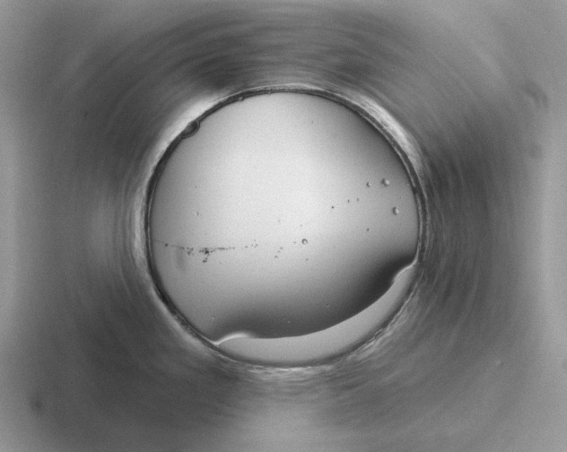 X0000116671293201001041122