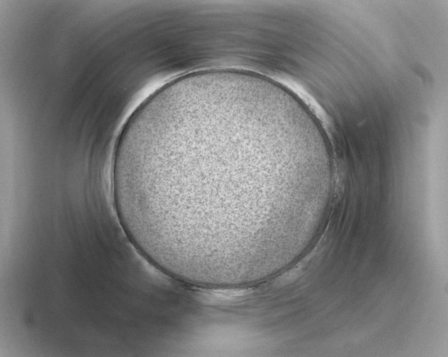 X0000116671294201001041122