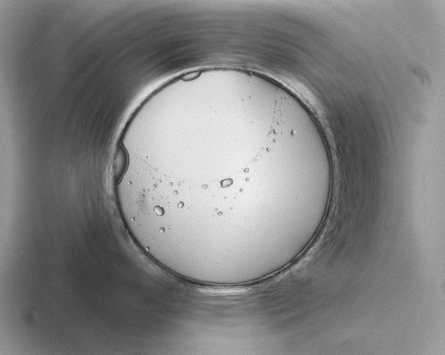 X0000116671296201001041122