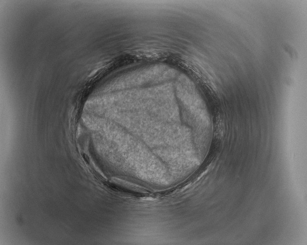 X0000116671297201001041121