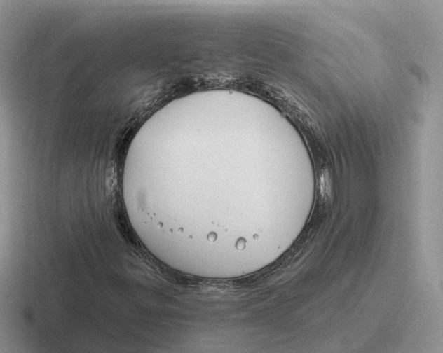 X0000116671299201001041121