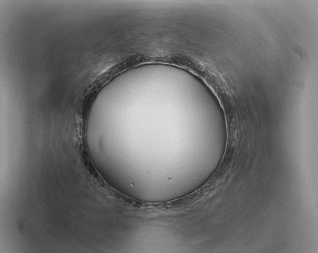 X0000116671301201001041121