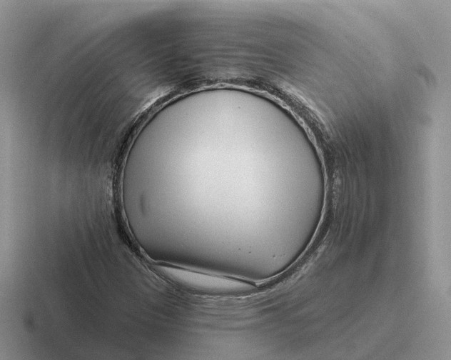 X0000116671305201001041121