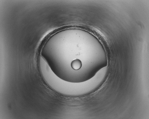 X0000116671310201001041121