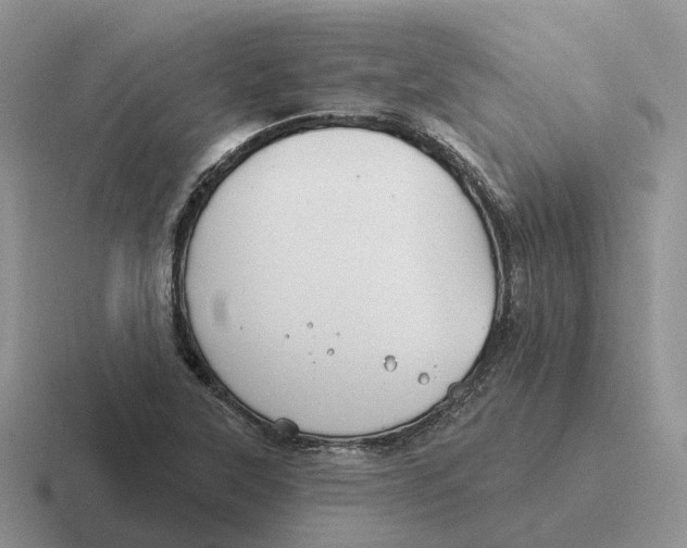 X0000116671315201001041122