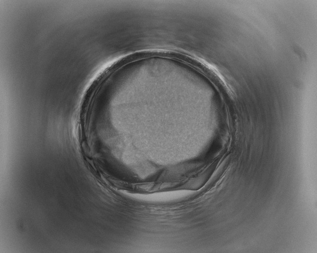 X0000116671319201001041122